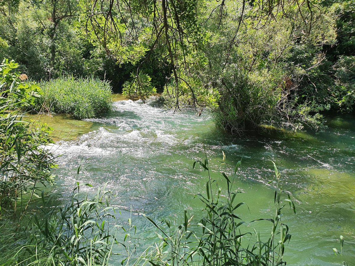 Krka National Park excursion from Zadar — Taxi Zadar
